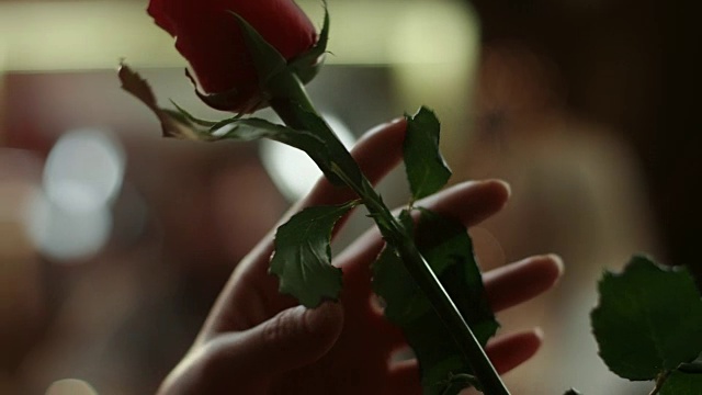 玫瑰的女人视频素材