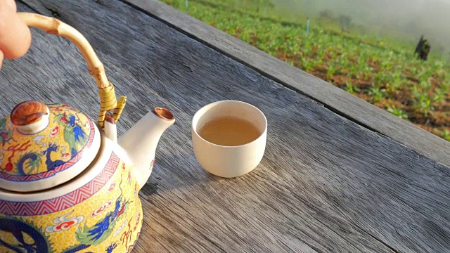 中国茶，户外晨景视频下载