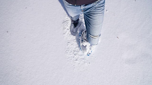在冬天的风景里穿雪鞋的人视频素材