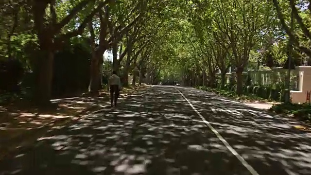 司机POV - part-8:开普敦郊外的乡村道路-树木环绕的小巷视频下载