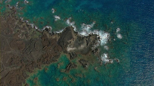 毛伊岛阿希希-基瑙自然保护区崎岖的火山海岸线。视频素材