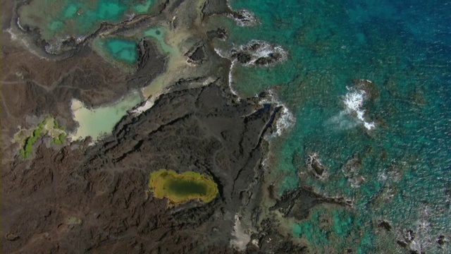夏威夷毛伊岛的阿希希-基瑙自然保护区的潮汐池塘。视频素材