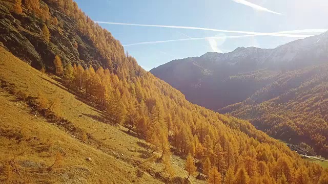山里的小阳春视频素材