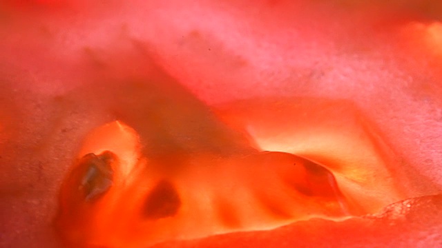成熟红番茄果肉的内部剖视图。背光水果转动缓慢视频下载
