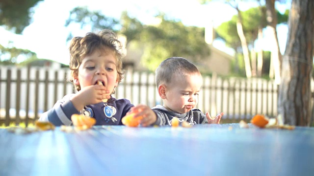 两个小弟弟在花园里剥橘子吃视频素材