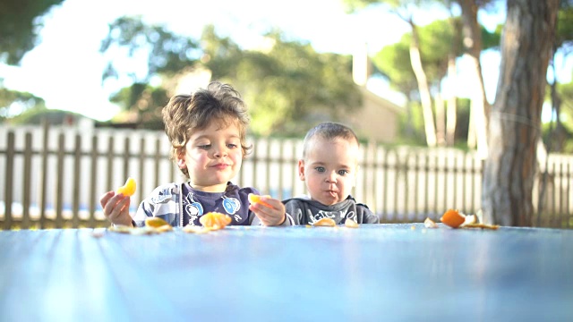 两个小弟弟在花园里剥橘子吃视频素材