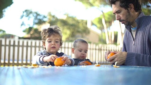 父亲和两个小儿子在花园里剥橘子，吃橘子视频素材