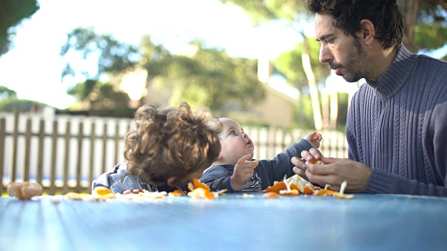 父亲和两个小儿子在花园里剥橘子，吃橘子视频素材