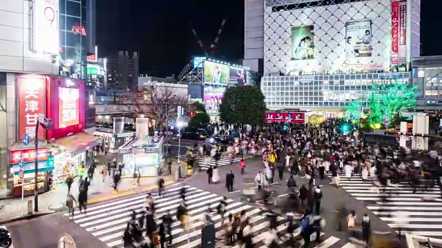 T/L WS HA PAN涩谷路口的夜晚/日本东京视频素材