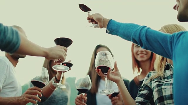 朋友们聚在一起吃饭、喝红酒:干杯视频下载