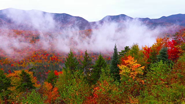 新罕布什尔州白山中的秋叶视频下载
