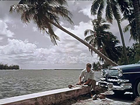 1956年迈阿密视频下载