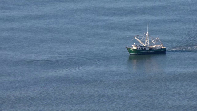 一艘渔船在墨西哥湾巡航。视频素材
