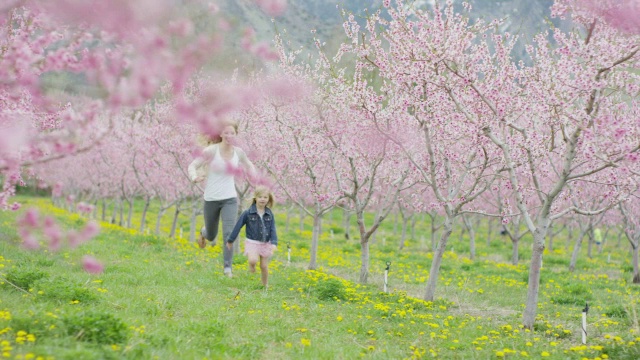 宽慢动作平移拍摄的母亲和女儿在公园/高山，犹他州，美国视频下载