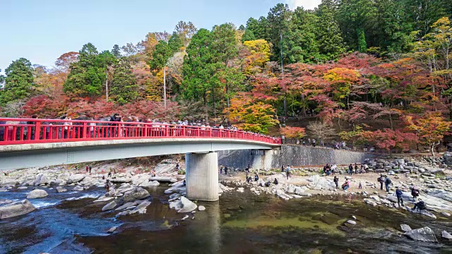 在日本可兰经寺，一群人站在红色的桥上，桥上挂着五颜六色的秋叶。视频素材