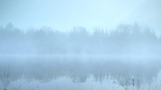 拂晓时湖面上有雾视频下载