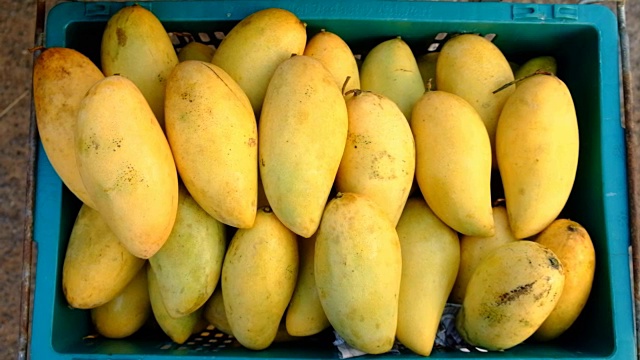 泰国市场销售的芒果视频下载