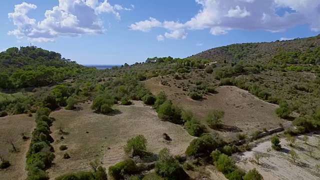 马略卡岛/西班牙的耕地和农业视频下载