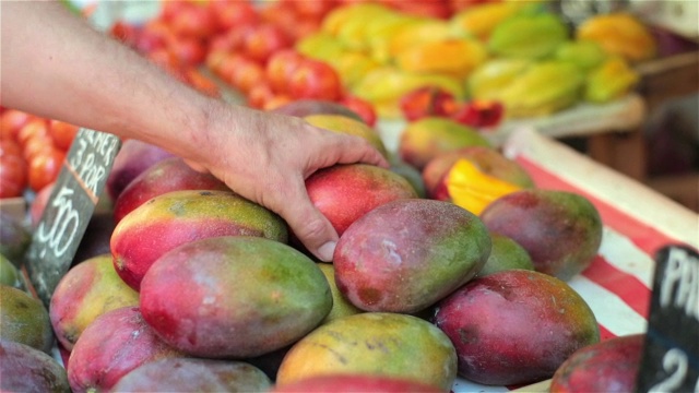 手在巴西市场上捡起和检查五颜六色的芒果视频素材