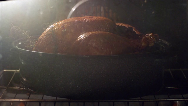 时间流逝近距离拍摄整只火鸡在锅和烤箱中烹饪，准备按钮弹出视频下载