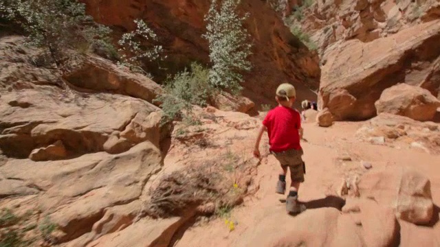 跟随一个年轻的徒步男孩，因为他跑下尘土飞扬的小径在一个深深的峡谷视频素材
