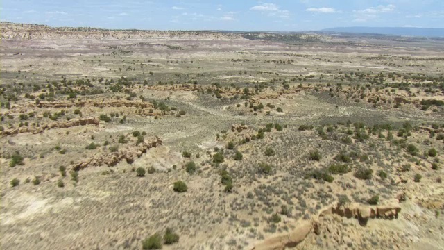 灌木生长在新墨西哥乡村沙漠的沙质高原上。视频素材