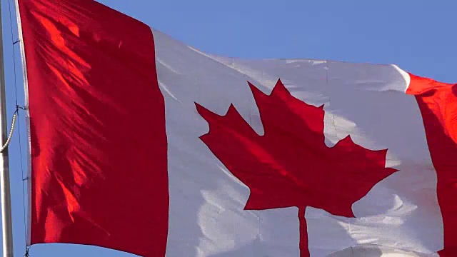 近距离加拿大国旗飘扬在蓝色晴朗的天空视频素材