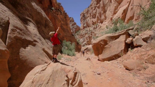 一个年轻的徒步旅行者站在峡谷里的岩石顶部，兴奋地伸出手臂视频素材
