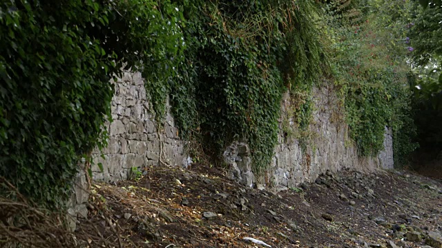 1649年，奥利弗·克伦威尔闯入德洛格达，即今天的劳斯郡，爱尔兰共和国的城墙。视频下载