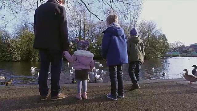 一家人在鸭池旁边的公园里视频素材