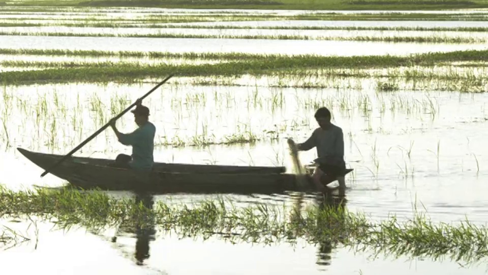夕阳西下，人们在小船上钓鱼。越南会安视频素材