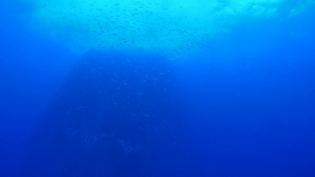 海底尖峰与鱼群视频素材