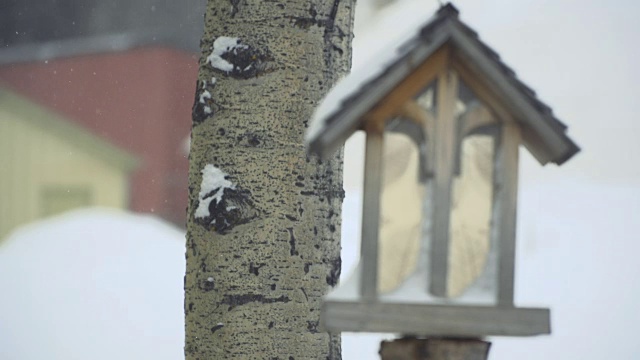 雪中的鸟笼视频素材