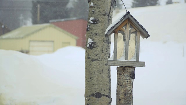 外面雪中的鸟笼视频素材