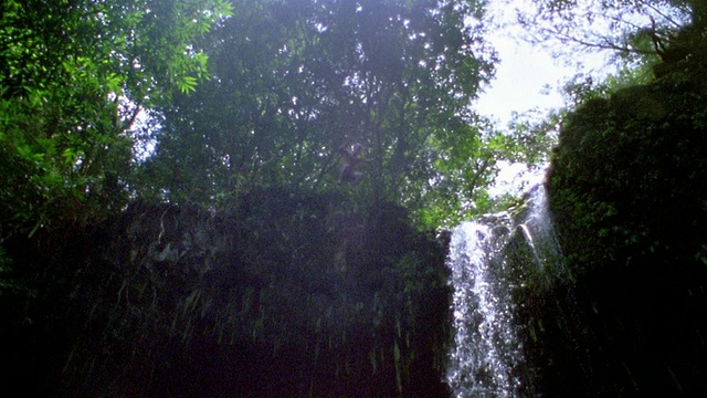 慢镜头宽拍摄低角度倾斜下来的年轻人从悬崖上跳下旁边的瀑布和水/毛伊岛，夏威夷视频下载