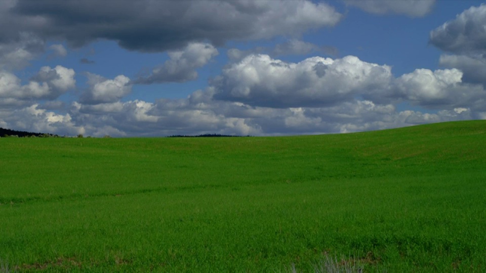俄勒冈州，碧蓝的天空中，绵延起伏的绿色大豆山丘上，长而宽的云朵视频下载