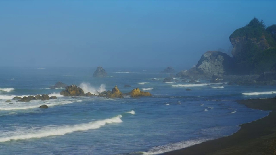 从中等到宽镜头的海浪在早上的栗色海滩，红木国家公园，加利福尼亚视频下载