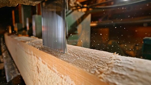 SLO MO垂直锯切割原木视频素材
