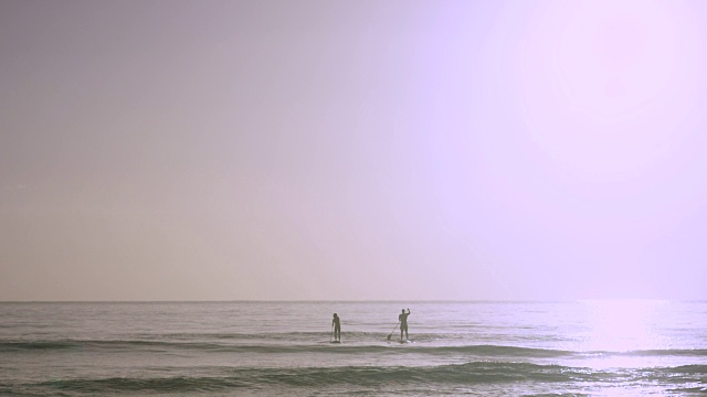 太平洋岛民男女在海洋中划水视频素材