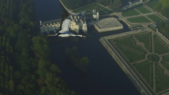 空对空HA WS和2只普通鹤一起飞行，背景是朦胧的舍农索城堡视频素材