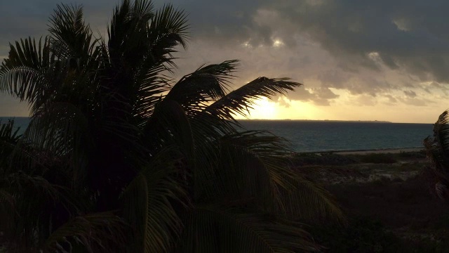 在墨西哥坎昆的夕阳下，空中降落在棕榈树后面视频素材
