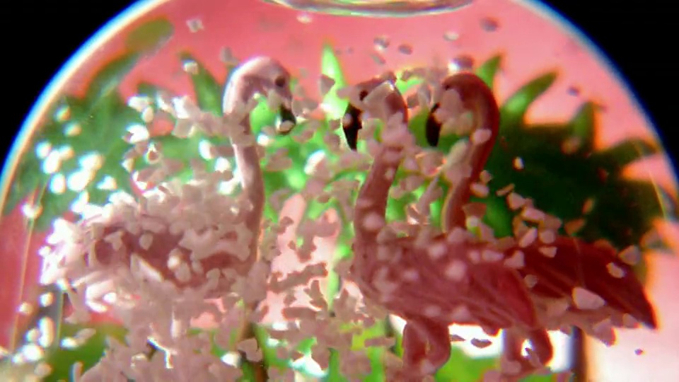 慢镜头拉近了粉红色的火烈鸟在雪花飘落的雪球里面视频下载