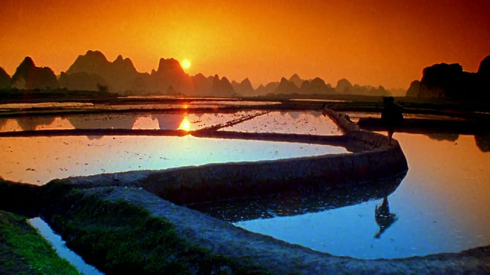 中国杨树，一名工人扛着农具，在橙色的阳光下沿着稻田行走视频素材