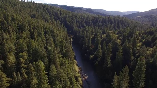 飞高的树木河红木森林，空中，4K, 44, 42of50，森林树木，北加州最高的树在世界上，太阳闪光，亥伯龙树，世界纪录，库存视频销售-无人机发现4K自然/野生动物/气象无人机空中视频视频下载