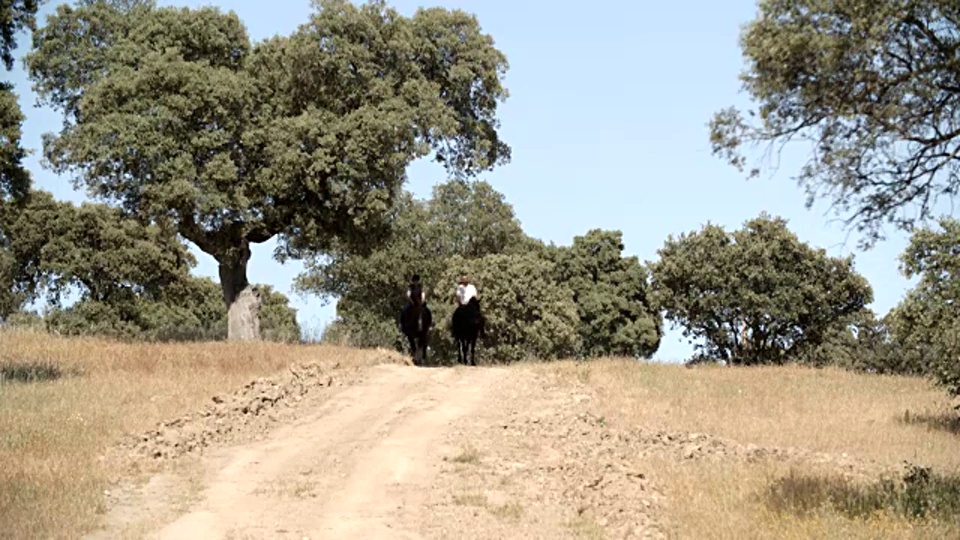 阳光下骑马/托莱多，西班牙视频下载