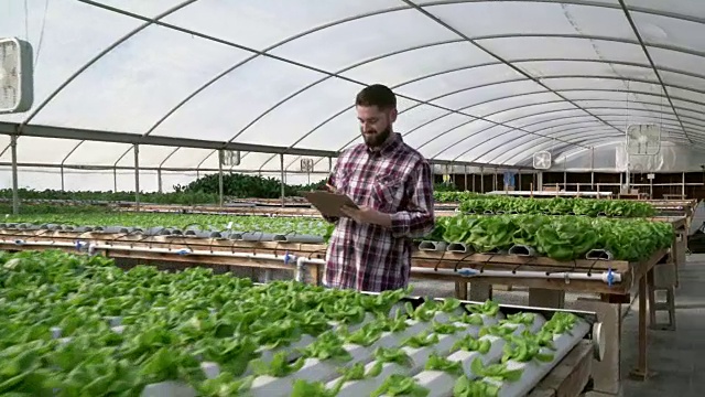 WS多莉拍摄，男子在水培农场检查蔬菜视频素材