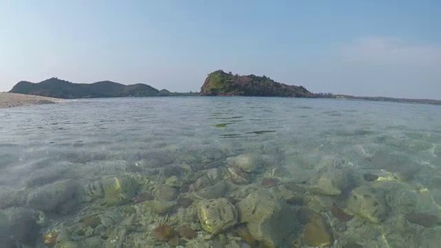 有珊瑚碎片的水面沙滩视频下载