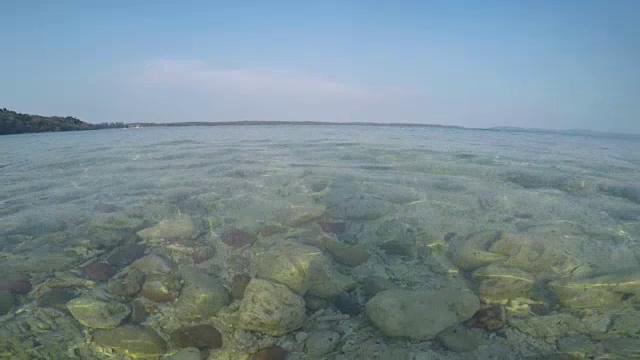 有珊瑚碎片的水面沙滩视频素材