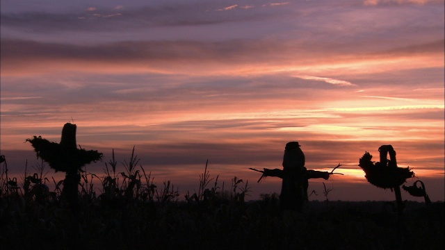 日落时的剪影稻草人，英国诺福克视频素材