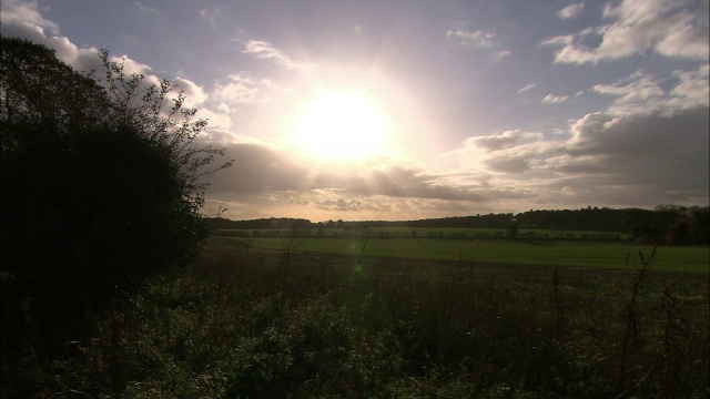 英国诺福克，低低的阳光照在田野和树篱上视频下载